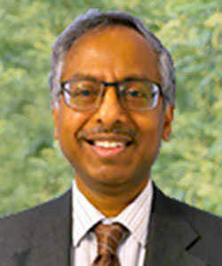 sreenivasalampalli 250x300